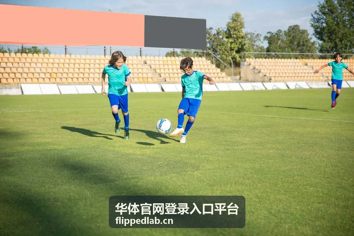 华体官网登录入口平台忘记密码处理流程封面